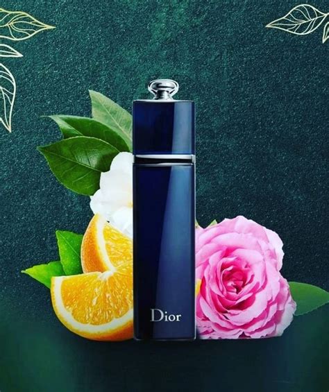 Dior Addict Edp 100 Ml Kadın İncelemeleri ve Yorumları